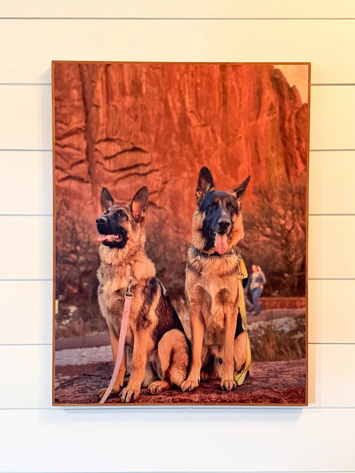 The Birch with Flush Border turns your favorite photo into a true wood heirloom—printed directly onto high-quality Baltic birch and finished with a hand-milled flush hardwood border for clean lines and gallery-worthy presence. From wedding portraits to mountain landscapes, every piece adds warmth, depth, and texture you simply can't get from paper.
Real Wood. Real Species. Real Results.
Not all "real wood" is created equal. Many companies frame with cheap stained pine and market it as something it's not. We don't.
Your piece is crafted from Baltic birch and finished with your choice of maple, cherry, or walnut—the actual species, with the natural grain and character that make each piece one of a kind.
True Color on Natural Grain
Your image is printed directly into the wood using our True Color Printing Technology™, delivering rich color, soft tonal transitions, and deeper shadows—while still letting the wood's grain show through. The result is a dimensional, tactile print designed to look incredible in any space for years to come.
Made to display. Built to endure.