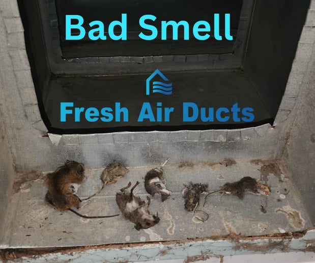 Images Fresh Air Ducts
