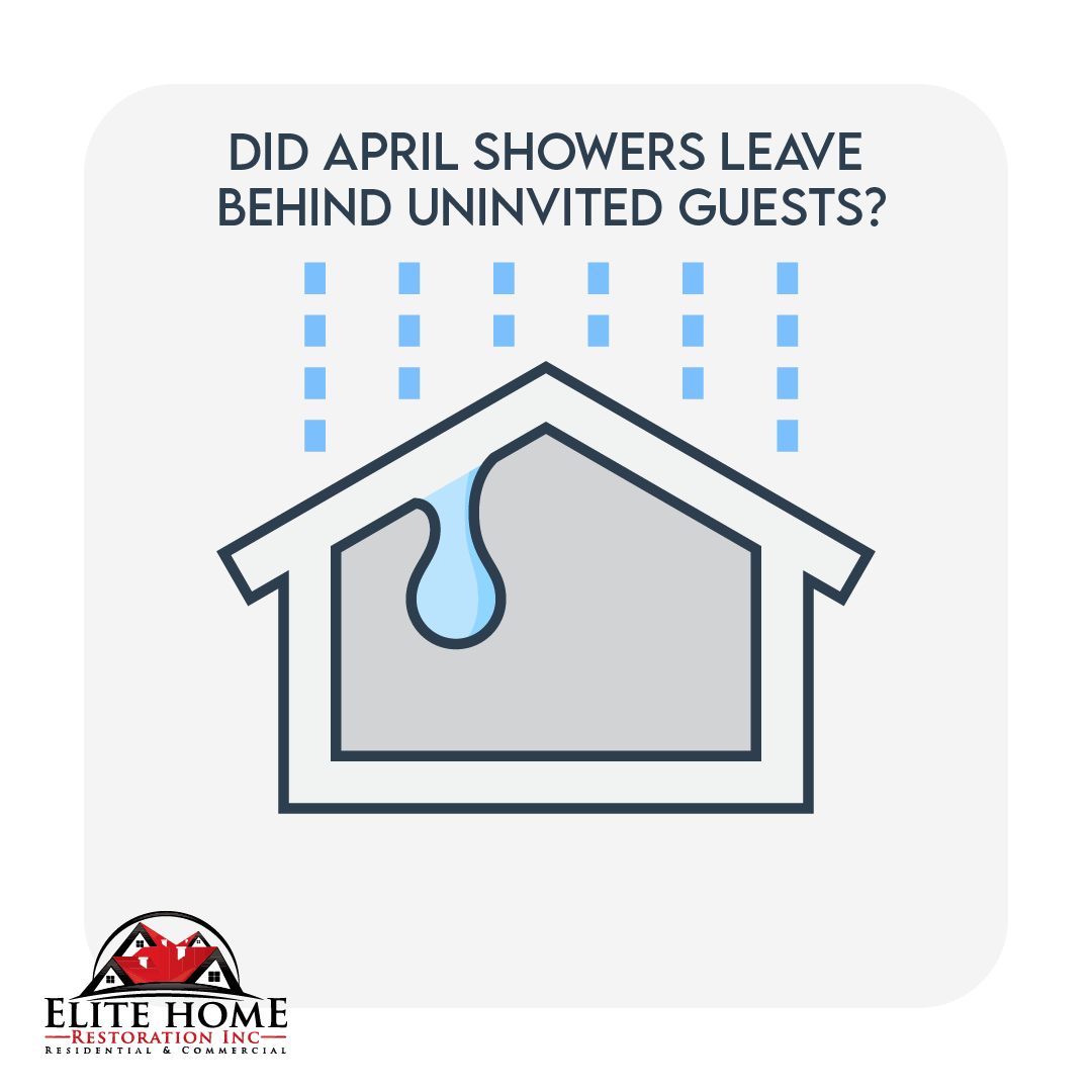 Elite Home Restoration Photo