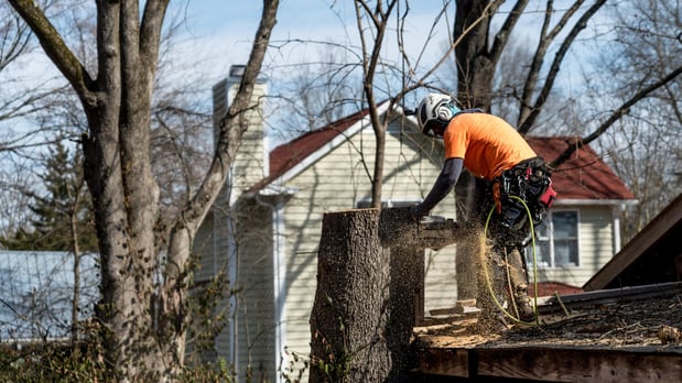 Images Nationwide Tree Service
