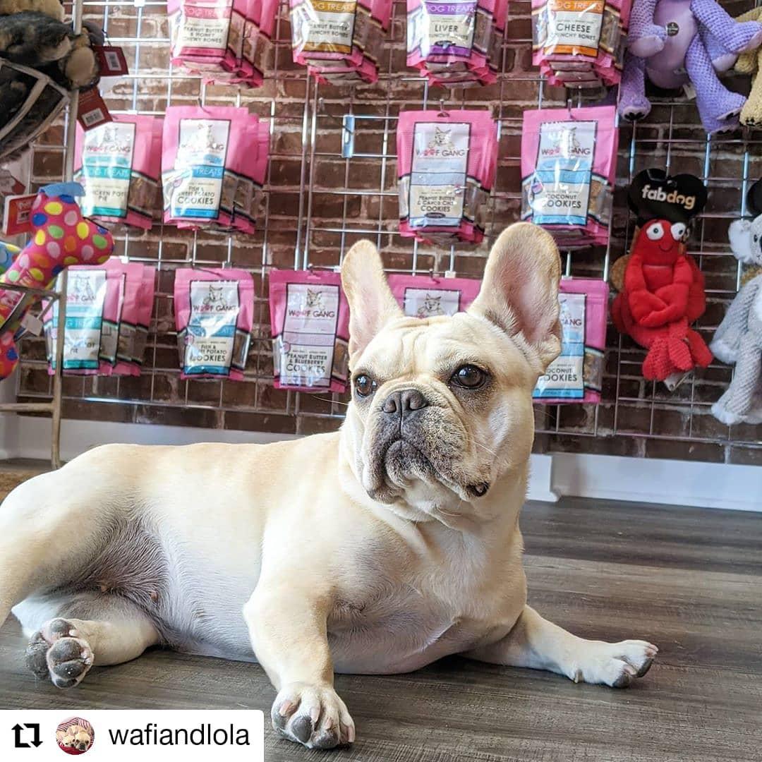 Woof Gang Bakery & Grooming Doral