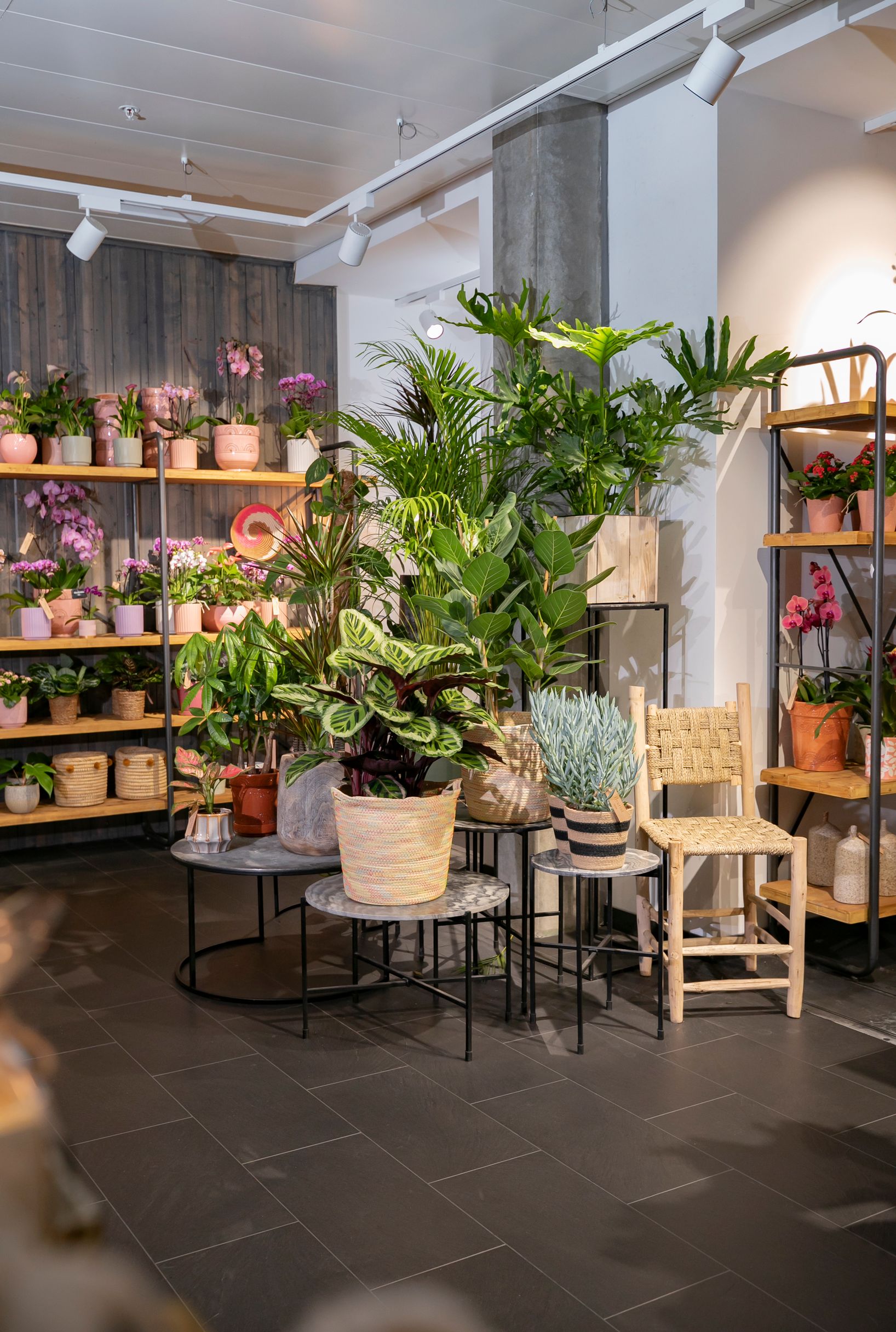 Bilder Fleuriot Fleurs, Fleuriste Gare O'Vives