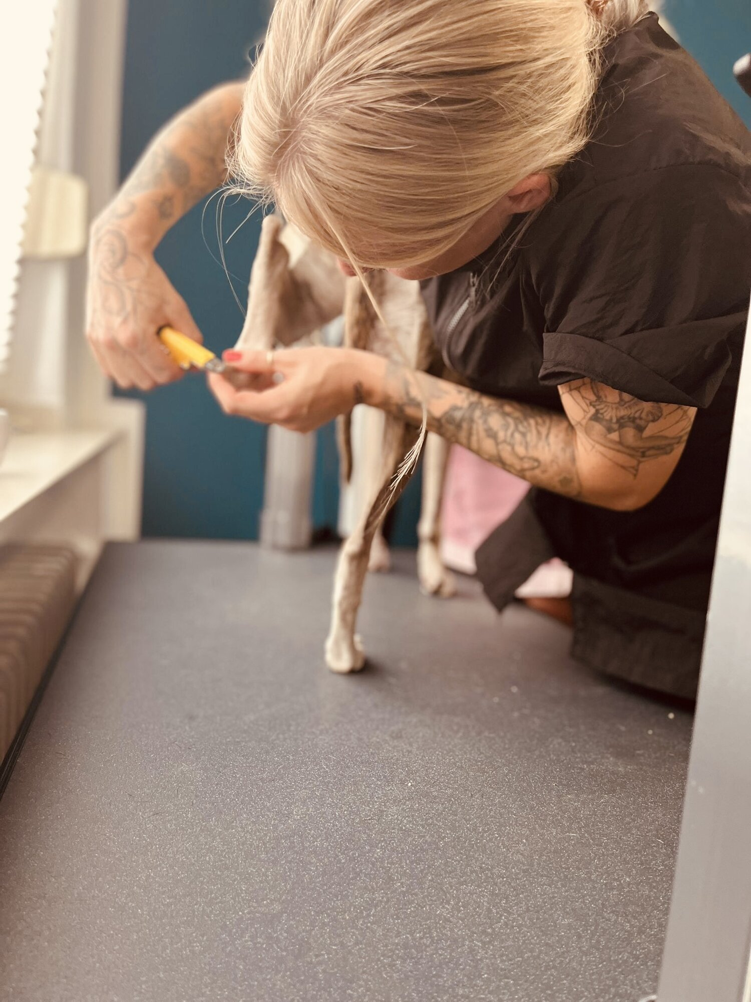 Artgerecht-dogspa, Gereonstraße 10 in Willich