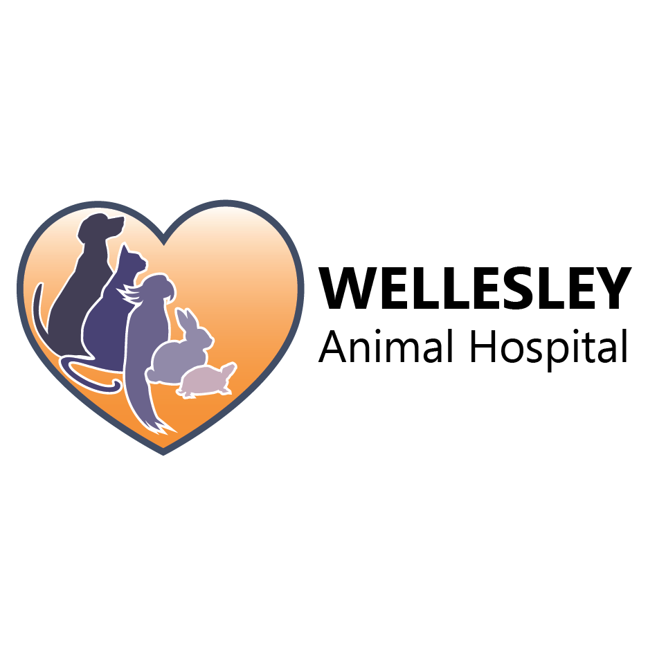 Wellesley Animal Hospital - Richmond, VA 23233 - (804)364-7030 | ShowMeLocal.com