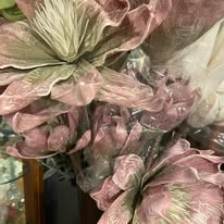 Images Clementines Boutique