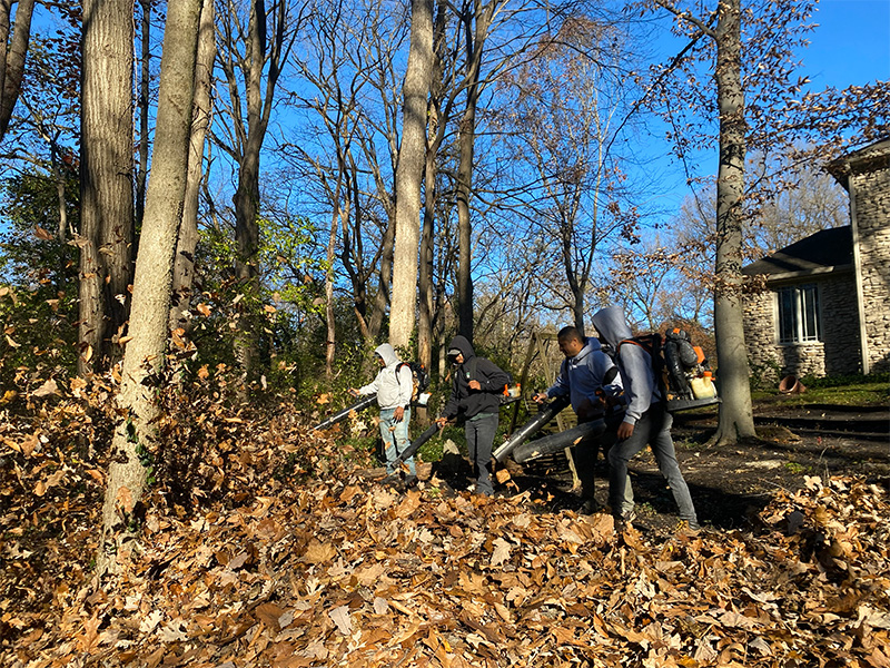 Rooted Lawn & Landscape Image