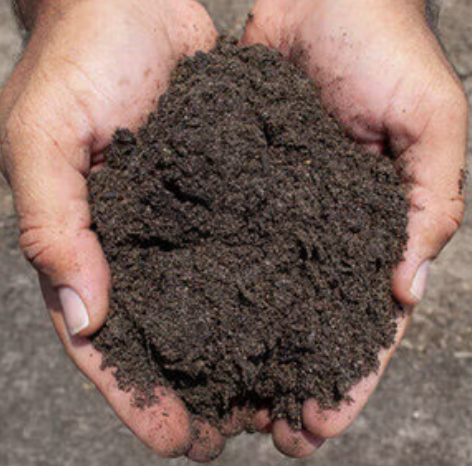 Top Dressing 70% Compost 30% Concrete Sand Bulk (per cu. yd.)
Enhances soil fertility and promotes healthy plant growth.
Provides excellent drainage and moisture retention for optimal plant health.
Convenient bulk packaging for large-scale landscaping projects.
The Top Dressing 70% Compost 30% Concrete Sand Bulk is a versatile soil mix that is perfect for enhancing the health and appearance of your landscape. With its rich brown color, this top dressing adds a natural and organic touch to your garden beds, flower pots, and lawns. Its bulk container size ensures that you have an ample supply to cover a large area, making it ideal for professional landscapers and avid gardeners alike. Created by SiteOne, a trusted brand in landscape supplies, this top dressing is part of their Compost and Sand series, ensuring high quality and reliable performance. Transform your outdoor space with this top dressing and enjoy a vibrant and thriving landscape.