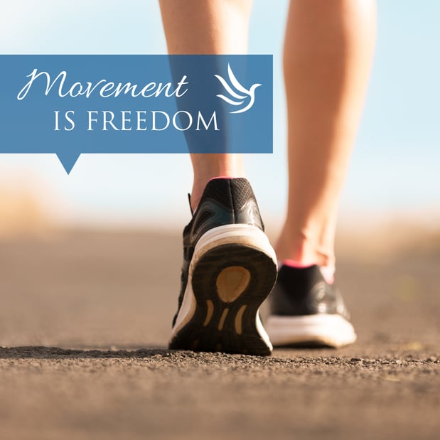Images Free Motion Stretch