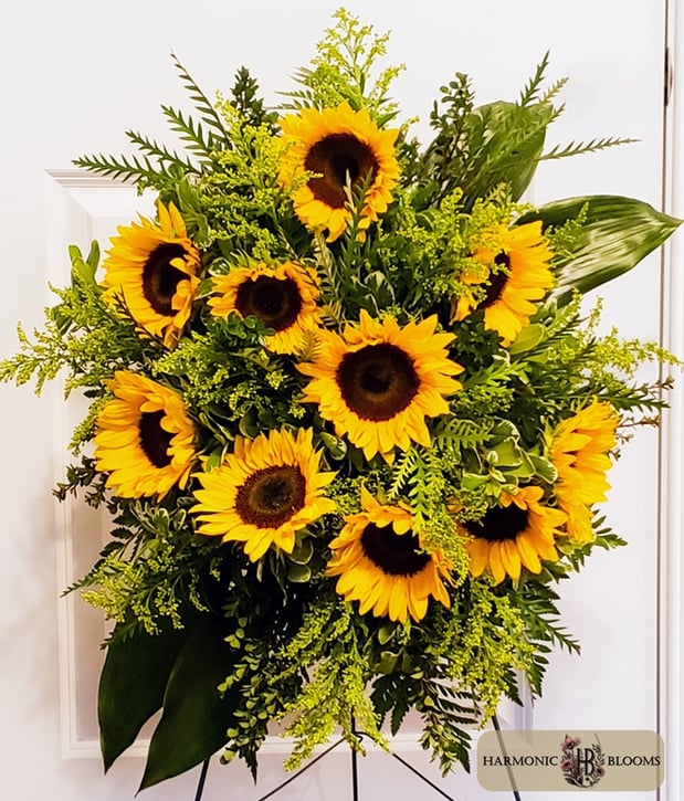 Images Harmonic Blooms