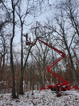 Images TK Land Management LLC