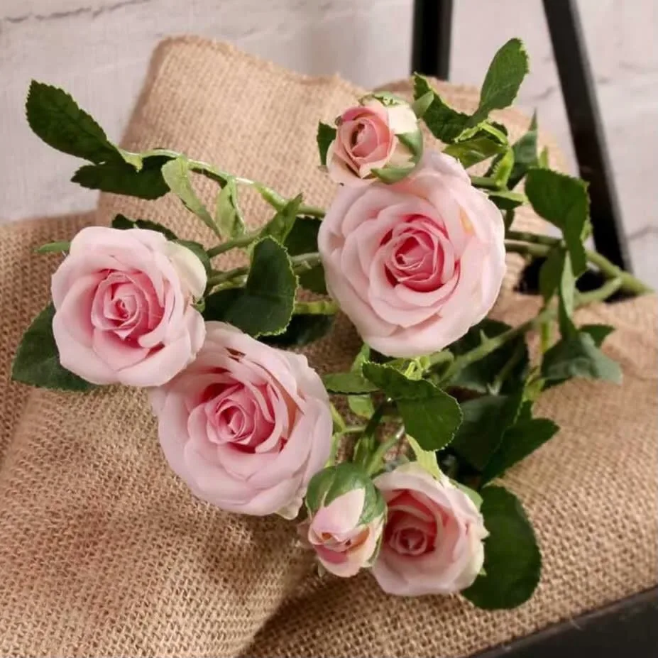 Images Village Green Wholesale Ltd