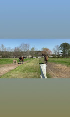 Images Star Ridge Stables