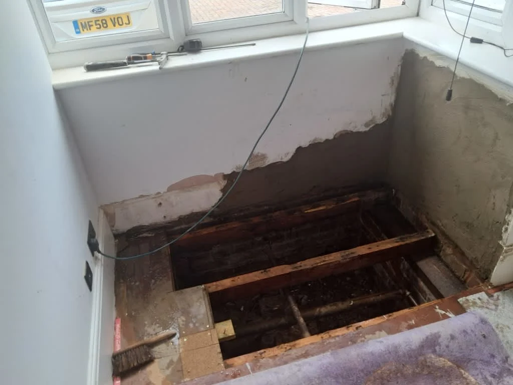 Images GET Damp Proofing Specialist