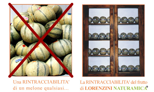 Images Lorenzini Società Agricola Naturamica