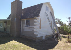 Aragon's Pro Painting Image