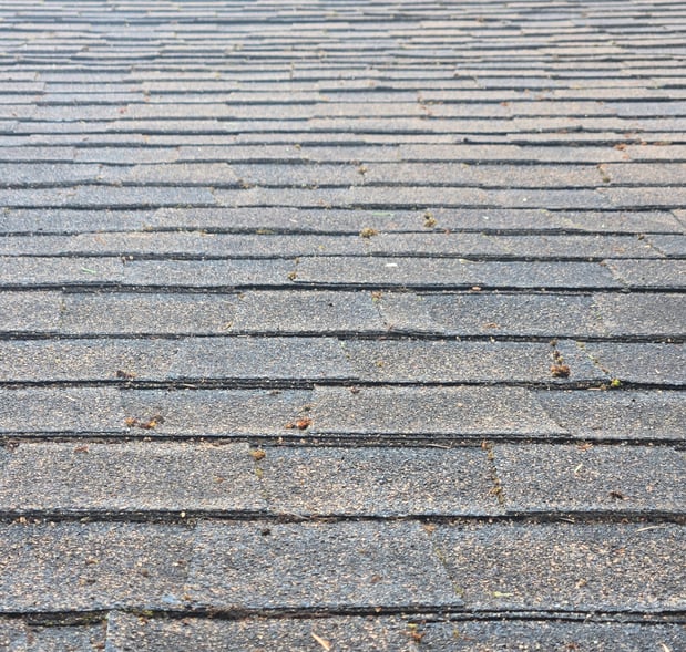 Images Code of Honor Contracting