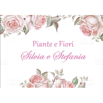 Piante e Fiori Stefania e Silvia Logo