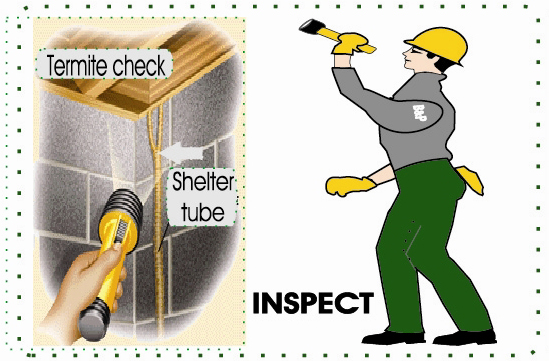 Images BP Homecare Pest Control
