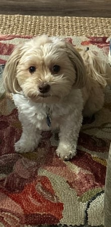 Images Davis McCord - State Farm Insurance Agent