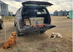 Images Autoplex Truck Toppers & Accessories (Formerly: A&A Toppers)