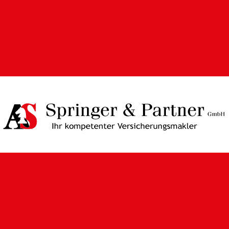 Logo Springer & Partner GmbH