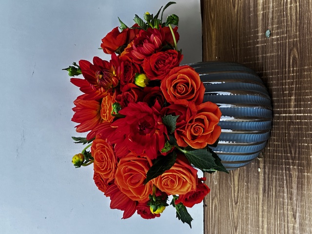 Images Jane's Roses & Flowers