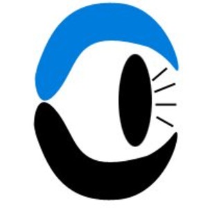 Eye to Eye Optometry Group Logo