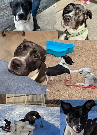 Images Jim Feighery - State Farm Insurance Agent