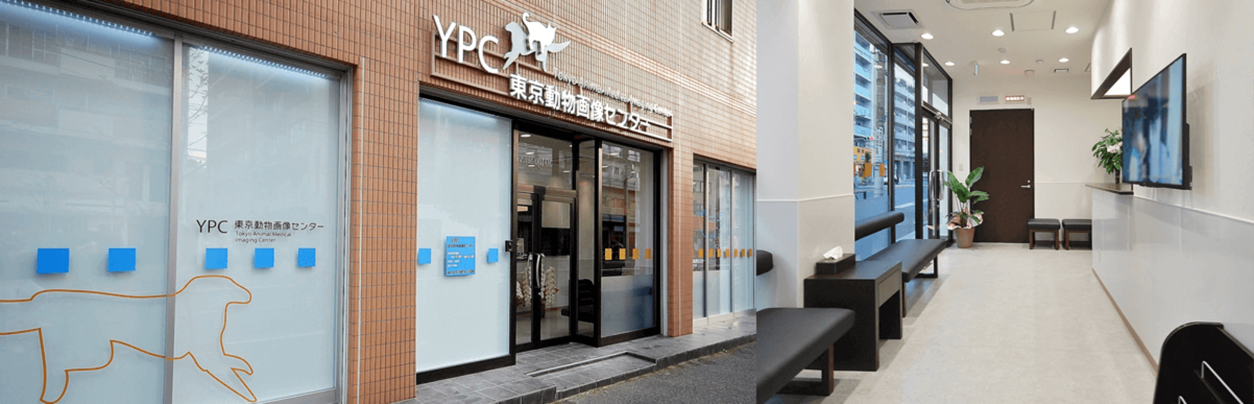 Images YPC東京動物画像センター