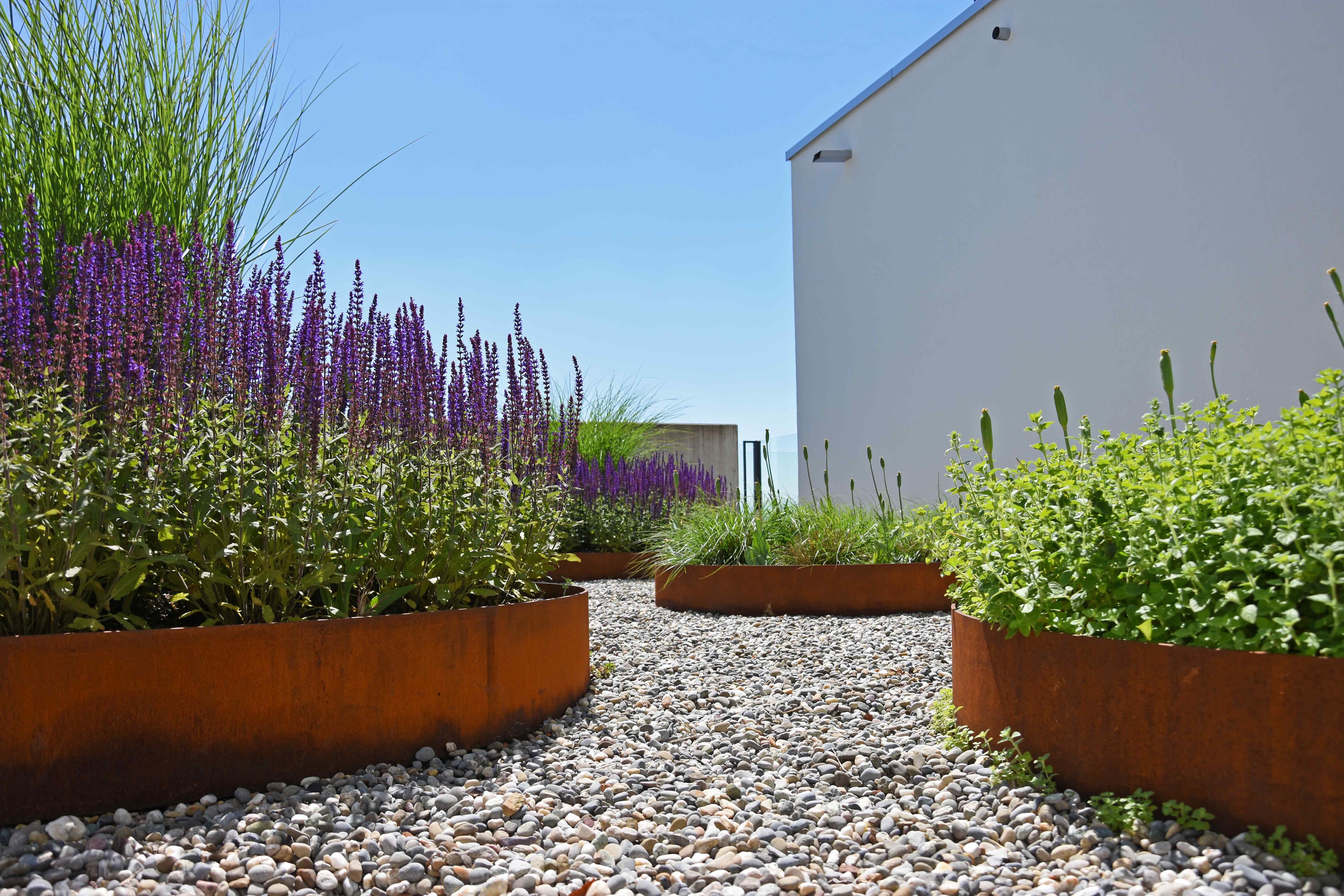 Bilder gartenbaumann AG