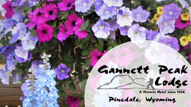 Images Gannett Peak Lodge