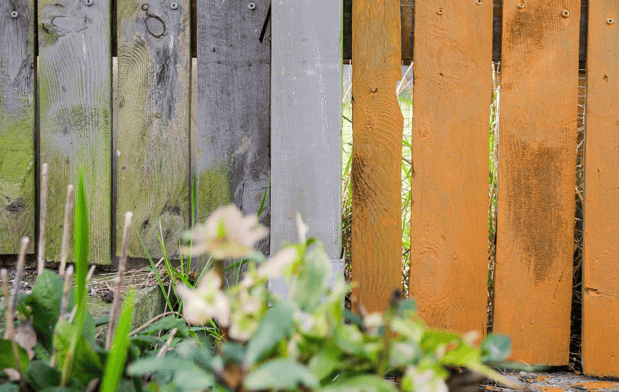 Images First Post Fence