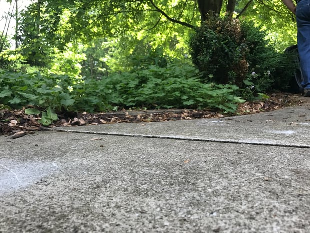 Images Ox Foundation Solutions