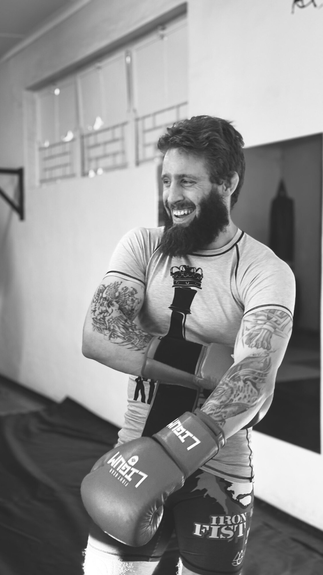 Images Iron fist mma