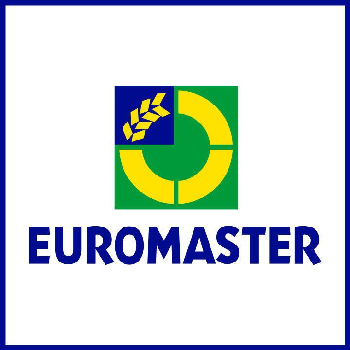 EUROMASTER Mörfelden LKW Logo