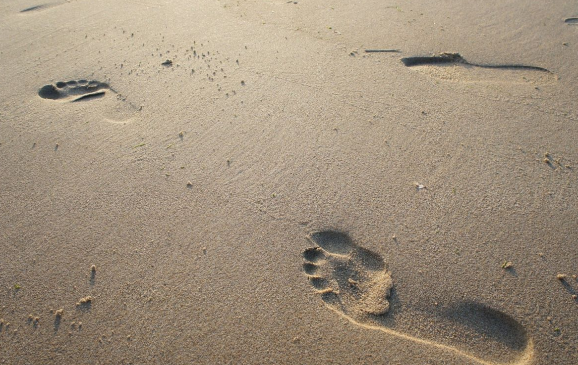 Praxis für Podologie Niklas, Regensburger Str. 33 in Roding