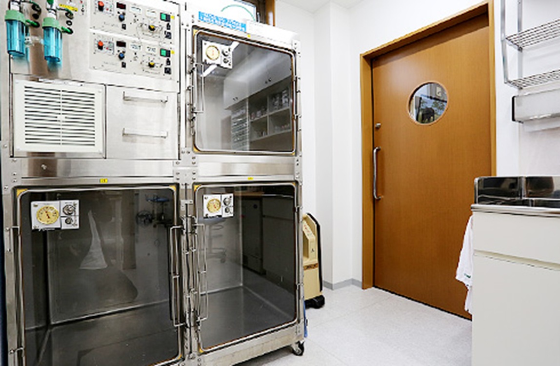 Images 南が丘動物病院