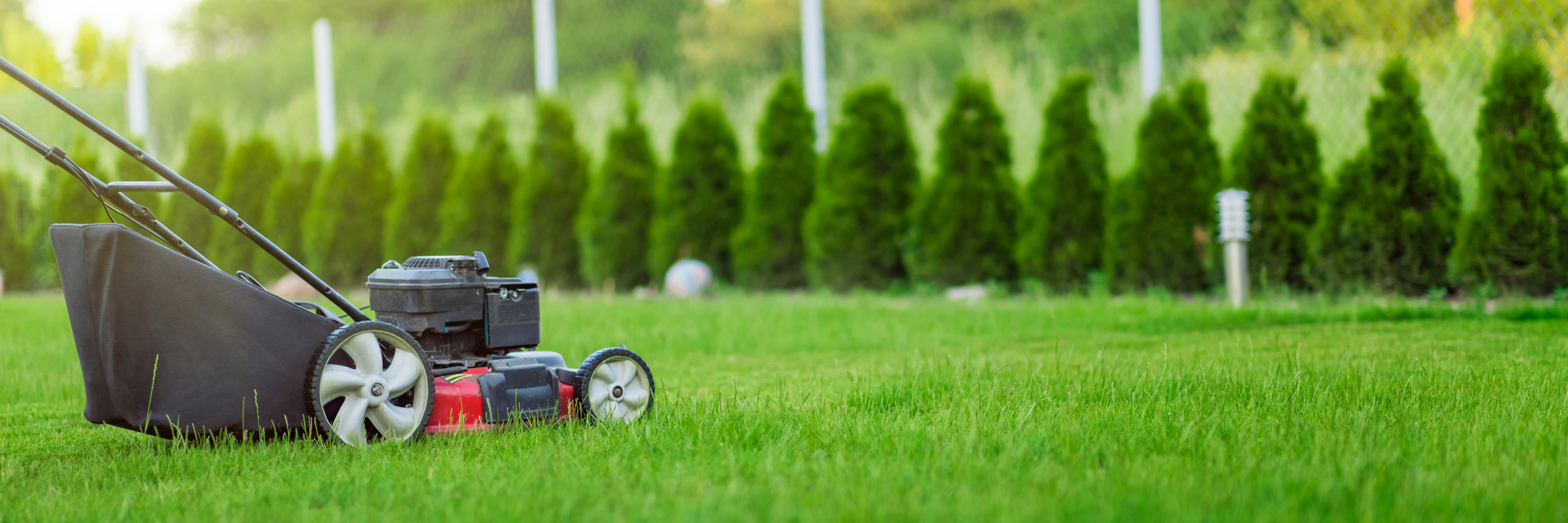 Executive Lawn Care 7