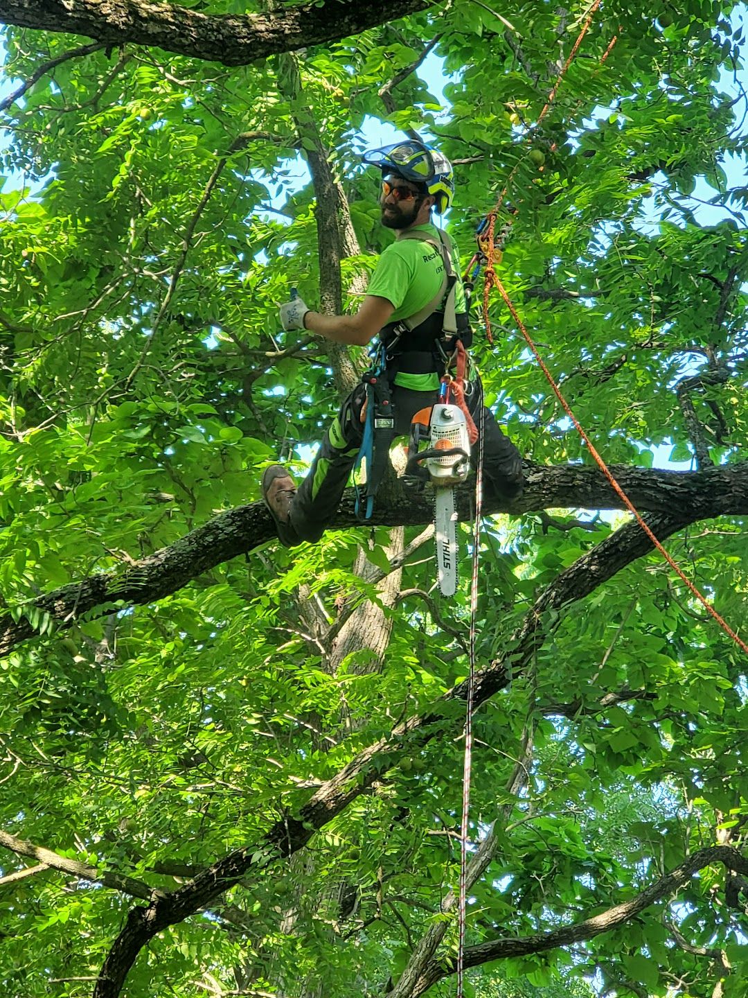 Recon Tree Services Image