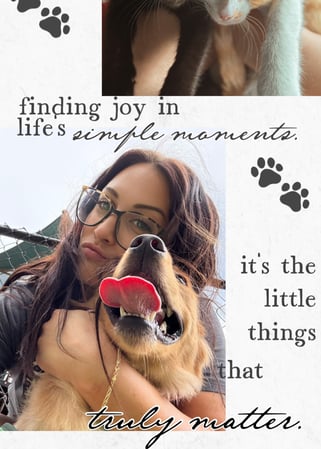 Images Brant Blessing  - State Farm Insurance Agent