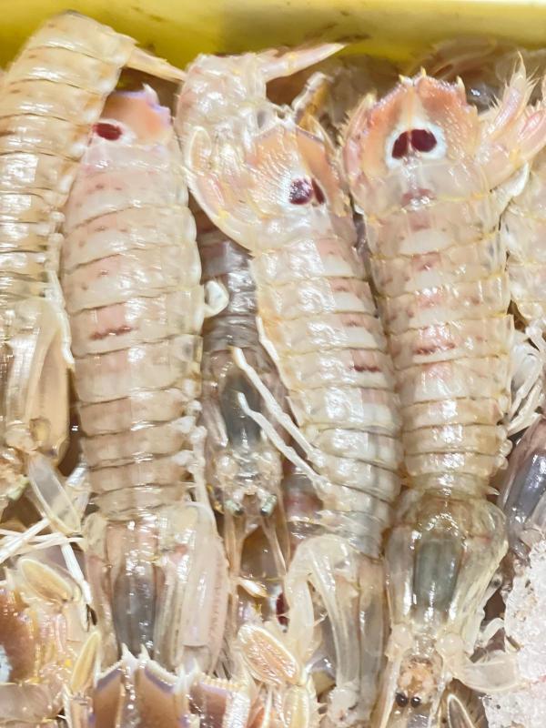 Images Pescheria Rossi Daniela