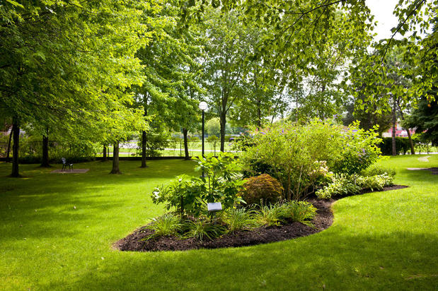Images Lindys Landscaping