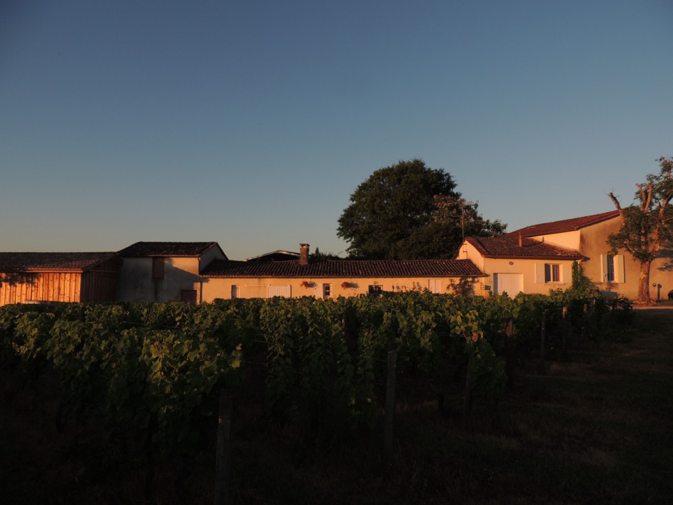 Coucher de soleil sur Domaine de la Gauche