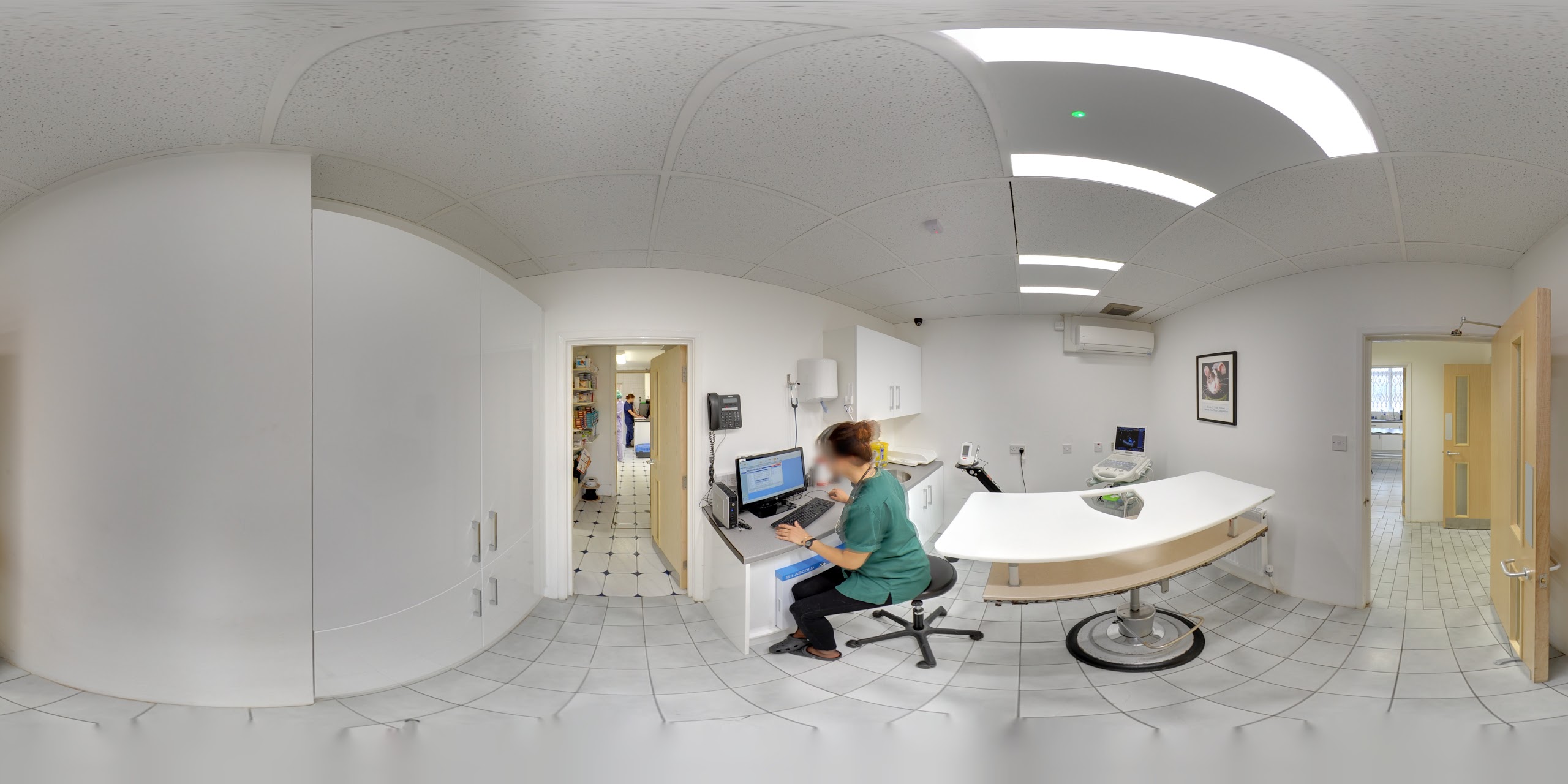 Images Streatham Hill Veterinary Surgery