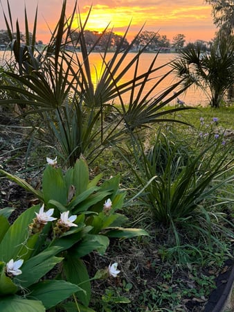 Images Sunshine Lodge