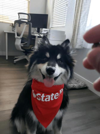 Images Brian Thomson - State Farm Insurance Agent