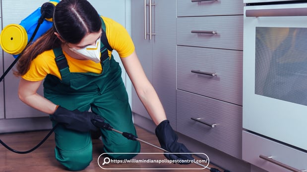 Images Pest Control Indianapolis