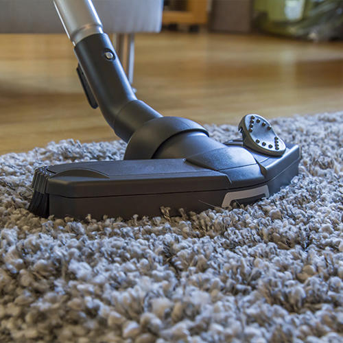 Images Leppo Carpet Cleaners Inc