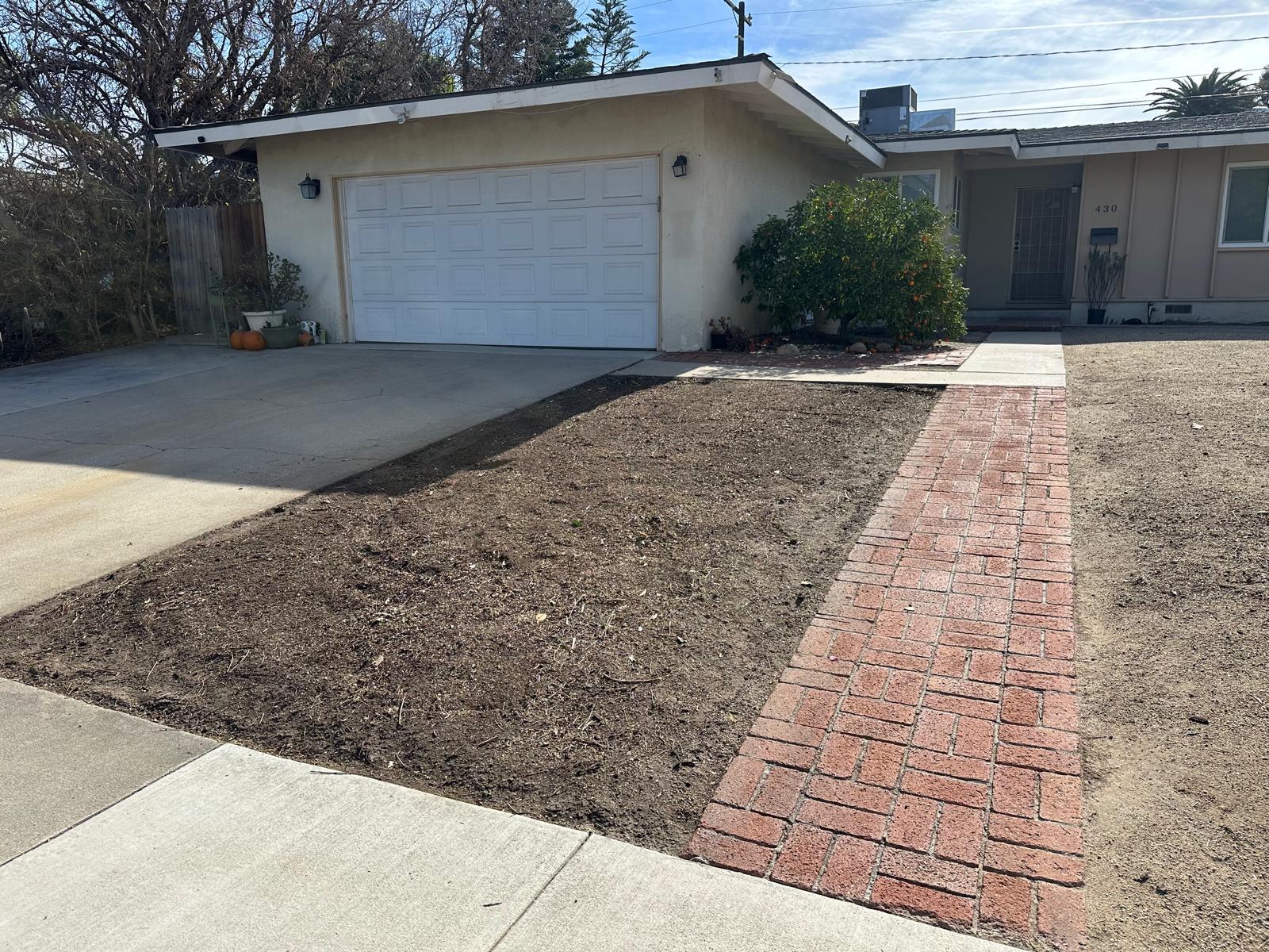 Francisco ToC Landscaping- Professional  Services