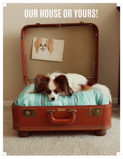 MY DOG COMPANY GmbH, Alderstrasse 28 in Zürich